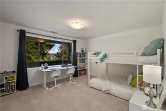 Lower level bedroom #3