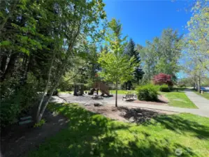Snoqualmie Ridge has so many parks - this one is right around the corner from subject
