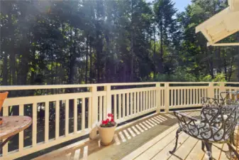 Expansive balcony off the primary suite bathed in morning sun.