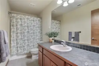 Upstairs kids/guest bath.