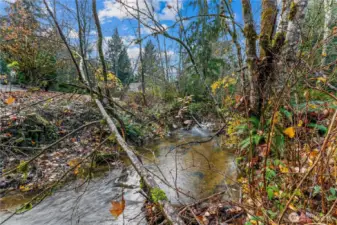 Lovely, serene creek just steps away