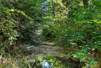 Beautiful creek just steps away