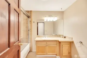 Main Level Hall Bathroom