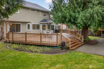 Expansive deck and paver patio create a seamless outdoor living zone with easy flow to the lawn, framed by mature evergreens for a private, peaceful backdrop.