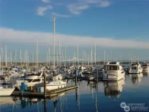 Semiahmoo marina