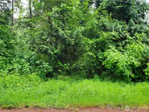 View from the road