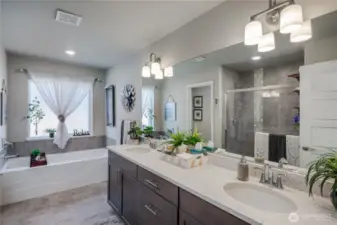 Primary Bath