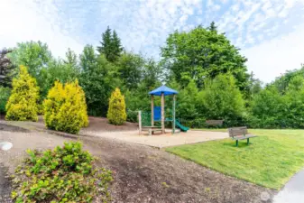 Park Area