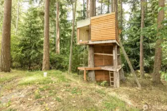 Tree house