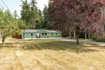 Front yard with 3 fruit trees