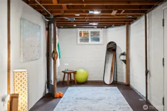 From the basement, a door (on the right) opens to a stairwell that leads directly to the backyard.