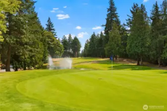 Pristine Greens!