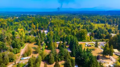 potential forest fire in the background