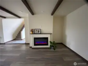 Electric fireplace with many options