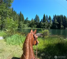 Enjoy a view of the peaceful lake on horseback~