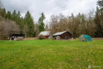 back yard toward buildings