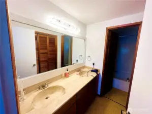 Master Bathroom tub and shower