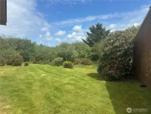 South side yard