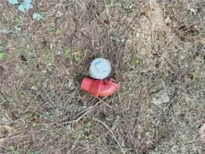 Septic component.