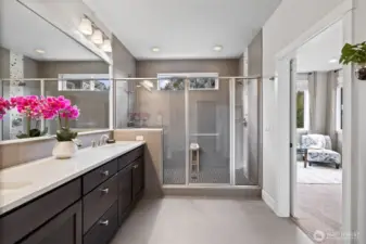 Sizeable Primary Bathroom with enromous walk in shower.
