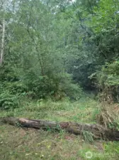 Unmarked trail entrance into property (near Champions sign post)