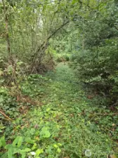 Unmarked trail