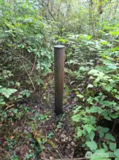 Well marker located just south of unmarked trail entrance