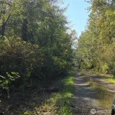 Easement driveway