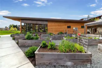 P-patch garden space by community building