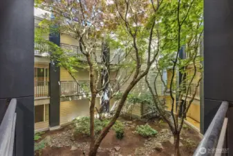 Interior garden inside building