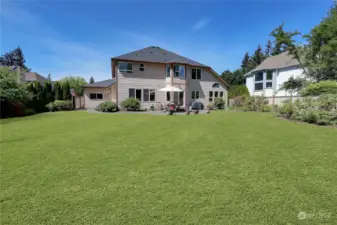 this huge and private back yard has a green belt backing up to it