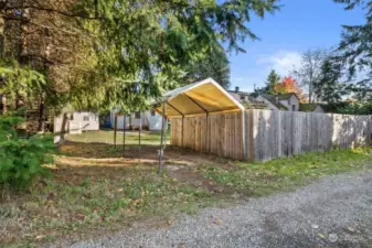 View from rear alley toward carport and back yard