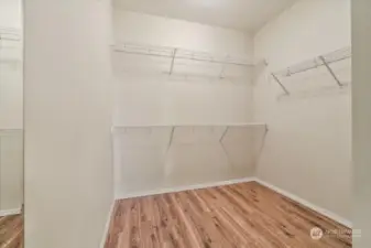 Spacious walk in closet fits your dresser too!