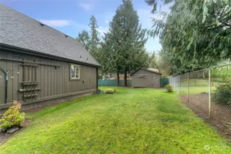 Giant side yard looking toward storage/garden shed.