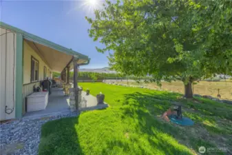 Relaxation on the westside on the patio is truly relaxing and protected from the sun.