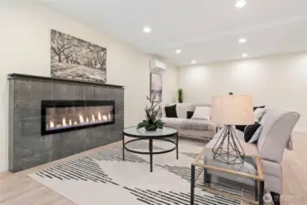 Lower Level Living area