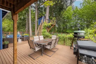 Plenty of space for outdoor grilling