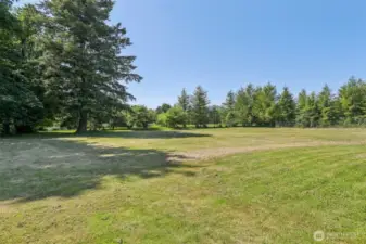 Spacious Backyard with Mature Trees