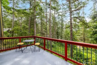 Second level deck off of primary bedroom