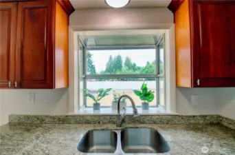 Sink View