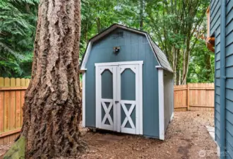shed for extra storage