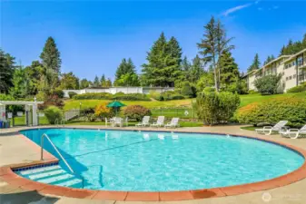 Outdoor pool for your enjoyment