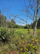 Beautiful Goff Creek Reserve