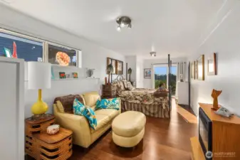 Lower level family room with slider out to the beautifully landscaped backyard.