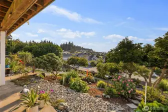 Terraced back yard is a gardeners delight with multiple specimen plants.