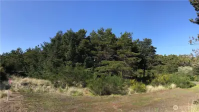 One of the largest lots you will find in the beach neighborhood!