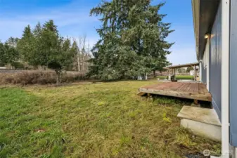 From this corner view, you can see how the backyard is layered. Open lawn closest to the home, then trees, then the tracks beyond. The tall evergreens create a strong green buffer along much of the back edge, while the holly tree fills in part of the open sightline. It’s not pretending the railroad isn’t there, but it does show how smart landscaping can soften the setting and keep the yard feeling calm and usable.