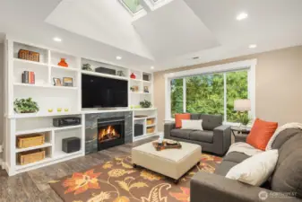 Living room with built-in cabinetry, gas fireplace, wired for surround sound and massive skylight and a Solatube.