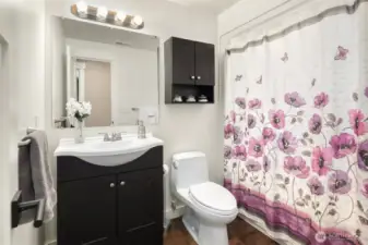 Updated full main/guest bathroom.