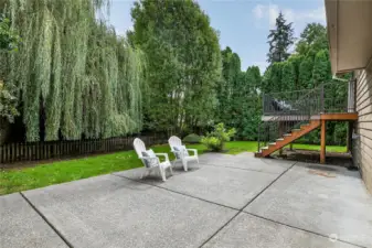 The yard is very private with a beautiful weeping willow and a small creek (the property line lies beyond the fence in photo).